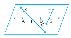 Page 74 Chapter 4 Class 6th Non-Rationalised NCERT 2019-20